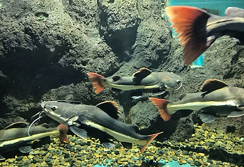 南充海昌海洋探索馆第 20 张图片