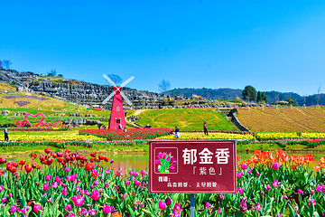 寒武纪石林景区第 27 张图片