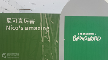 熊猫的世界·大熊猫主题VR沉浸式展览