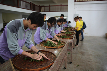 武夷香江茗苑第 46 张图片