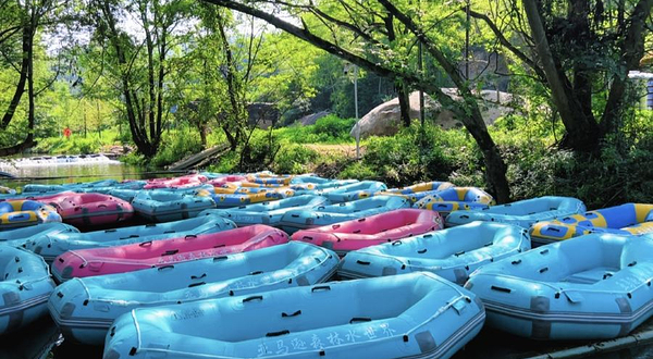 亚马逊森林水世界