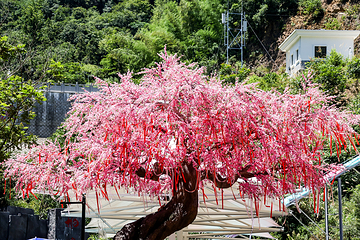 桃花源漂流第 16 张图片