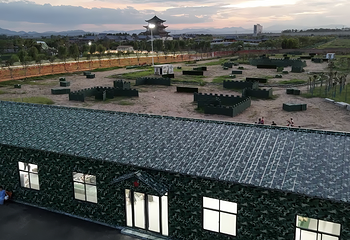 米奇王国第 30 张图片