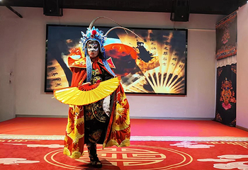 芙蓉门国粹第 14 张图片