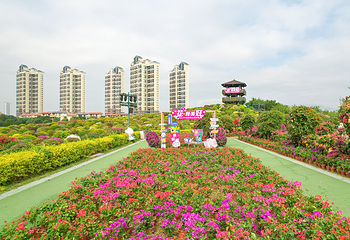 千花洲生态景区第 99 张图片