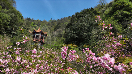 王仙岭旅游风景区第 15 张图片