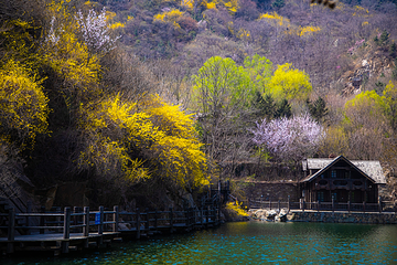 九如山休闲旅游度假区第 204 张图片