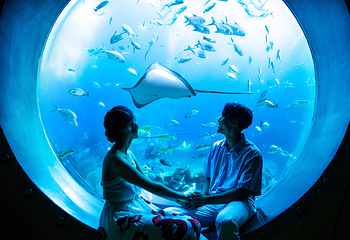 三亚亚特兰蒂斯失落的空间水族馆第 134 张图片