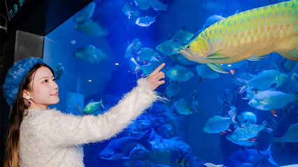上海海洋水族馆第 115 张图片