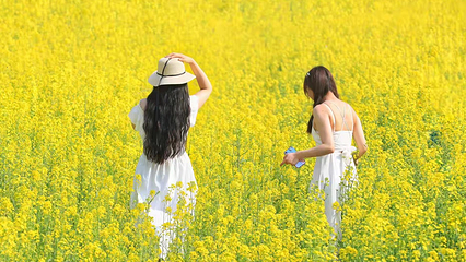 蔡甸消泗油菜花第 9 张图片