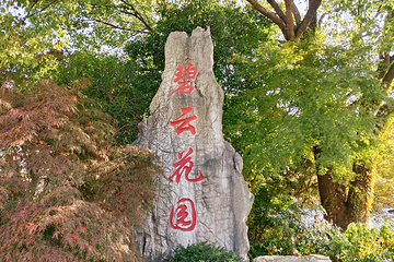 碧云花园第 43 张图片