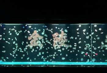南京海昌海洋探索馆第 63 张图片