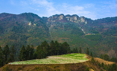 湖南雪峰山旅游度假区第 9 张图片