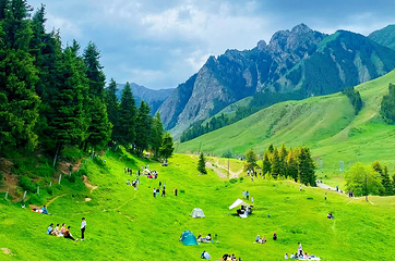 南山牧场西白杨沟景区第 12 张图片
