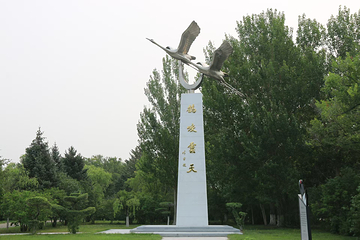 扎龙生态旅游区第 95 张图片