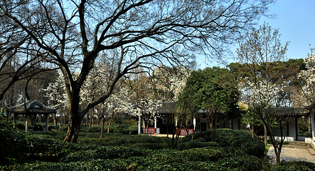 虎丘山风景名胜区第 163 张图片