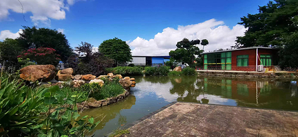 开心鳄源生态文化综合体