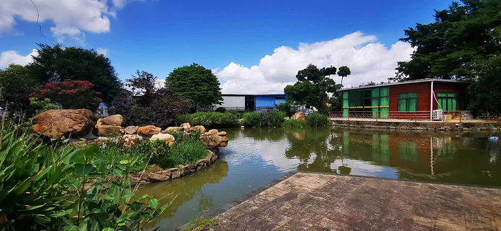 开心鳄源生态文化综合体