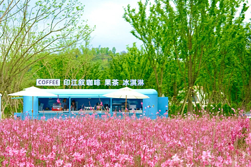 千行营广阳湾国际营地第 3 张图片
