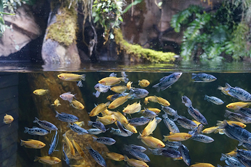 上海温室花园第 48 张图片