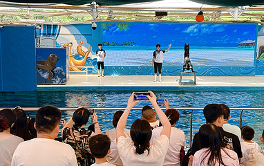 厦门鼓浪屿海底世界第 12 张图片