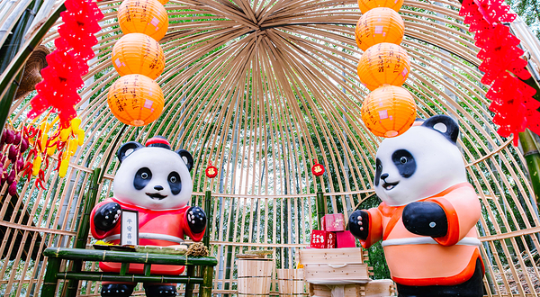 熊猫部落探险乐园