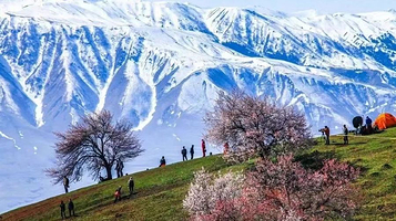 那拉提杏花沟