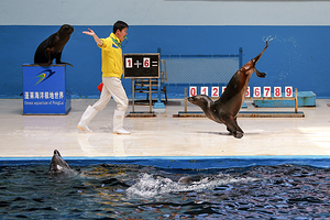 蓬莱欧乐堡海洋极地世界