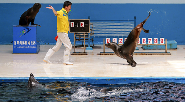 蓬莱欧乐堡海洋极地世界