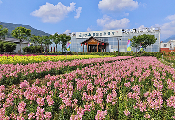 武功山花涧里第 6 张图片