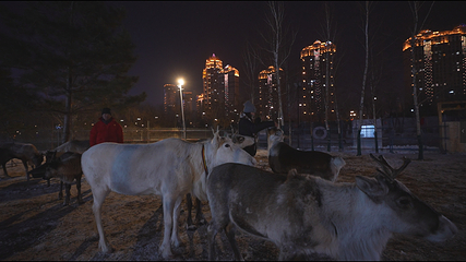 星云里哈尔滨大雪人乐园第 15 张图片