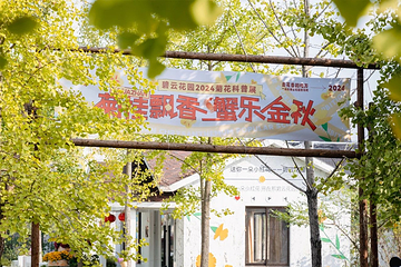 碧云花园第 17 张图片