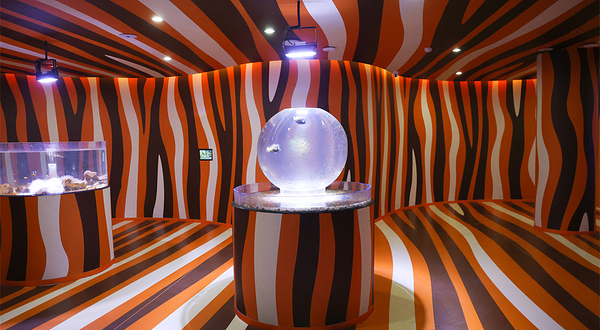 临沂极地海洋王国