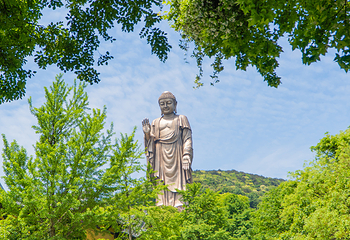 灵山胜境第 78 张图片