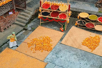 彭家寨旅游景区第 6 张图片