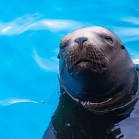 宜宾海昌海洋探索馆