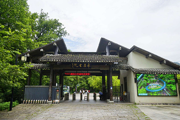 楠溪江风景旅游区第 45 张图片