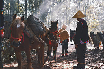 普洱茶马古道遗址公园第 44 张图片