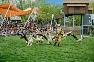渔田七里海度假区