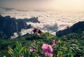 祖山风景区第 152 张图片