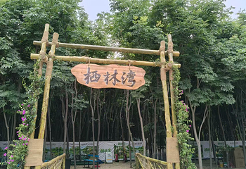 栖林湾第 2 张图片