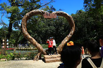 海南百花岭热带雨林文化旅游区第 51 张图片