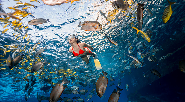 三亚特缔思潜水中心(天房洲际店)