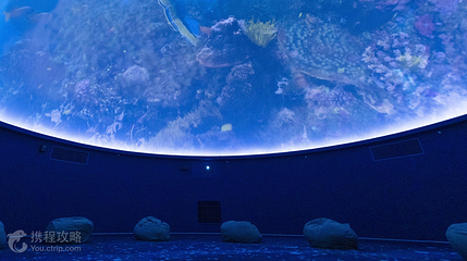 海之花宇宙探索馆第 5 张图片