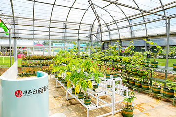 厚承陈皮文化生态园第 6 张图片