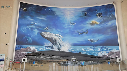 日照海昌海洋探索馆第 9 张图片