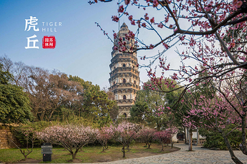 虎丘山风景名胜区第 70 张图片