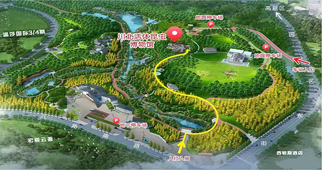 川北活体昆虫博物馆第 2 张图片