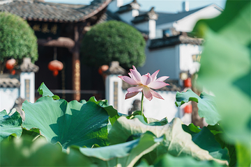 江郎山·廿八都旅游区第 8 张图片