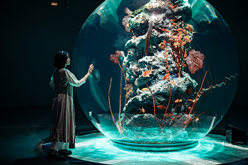 神户都市型水族馆 AQUARIUM×ART átoa第 16 张图片